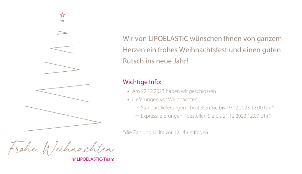 Banner - Lieferung in der Adventszeit
